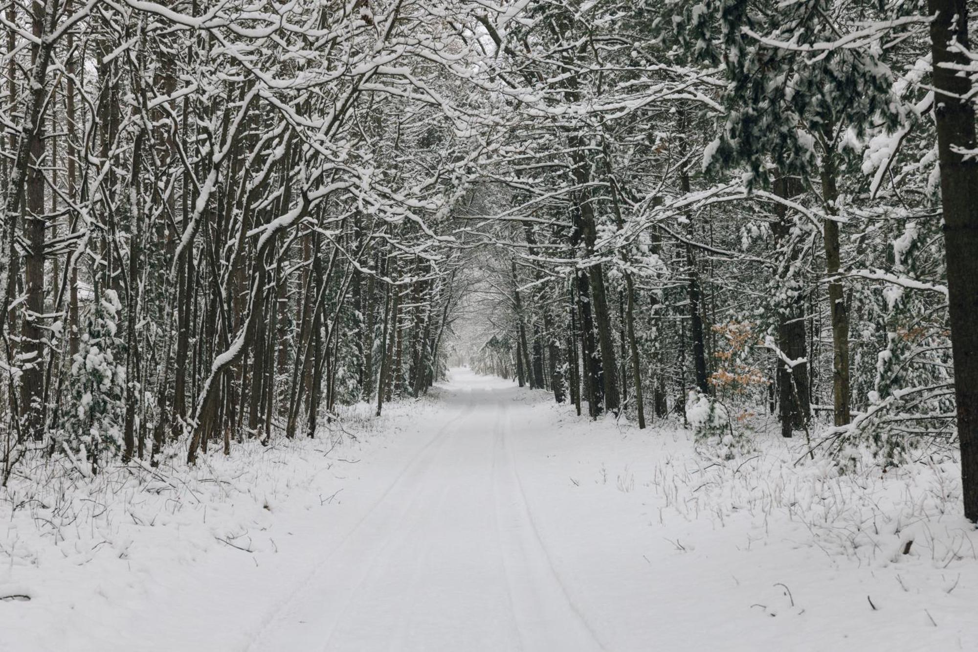 Scenic Drive Resort Muskegon Luaran gambar